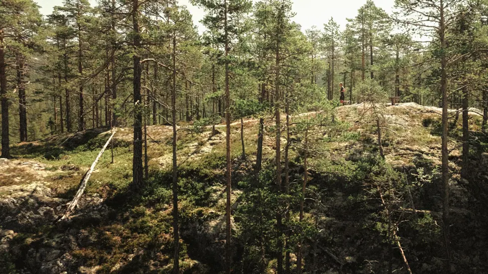 Turufjell Trail 2025
