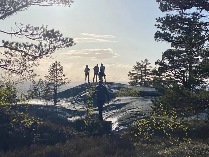 Vestfold Historic Ultra Trail 2026