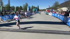 lisalillemoen image