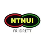 NTNUI Friidrett icon